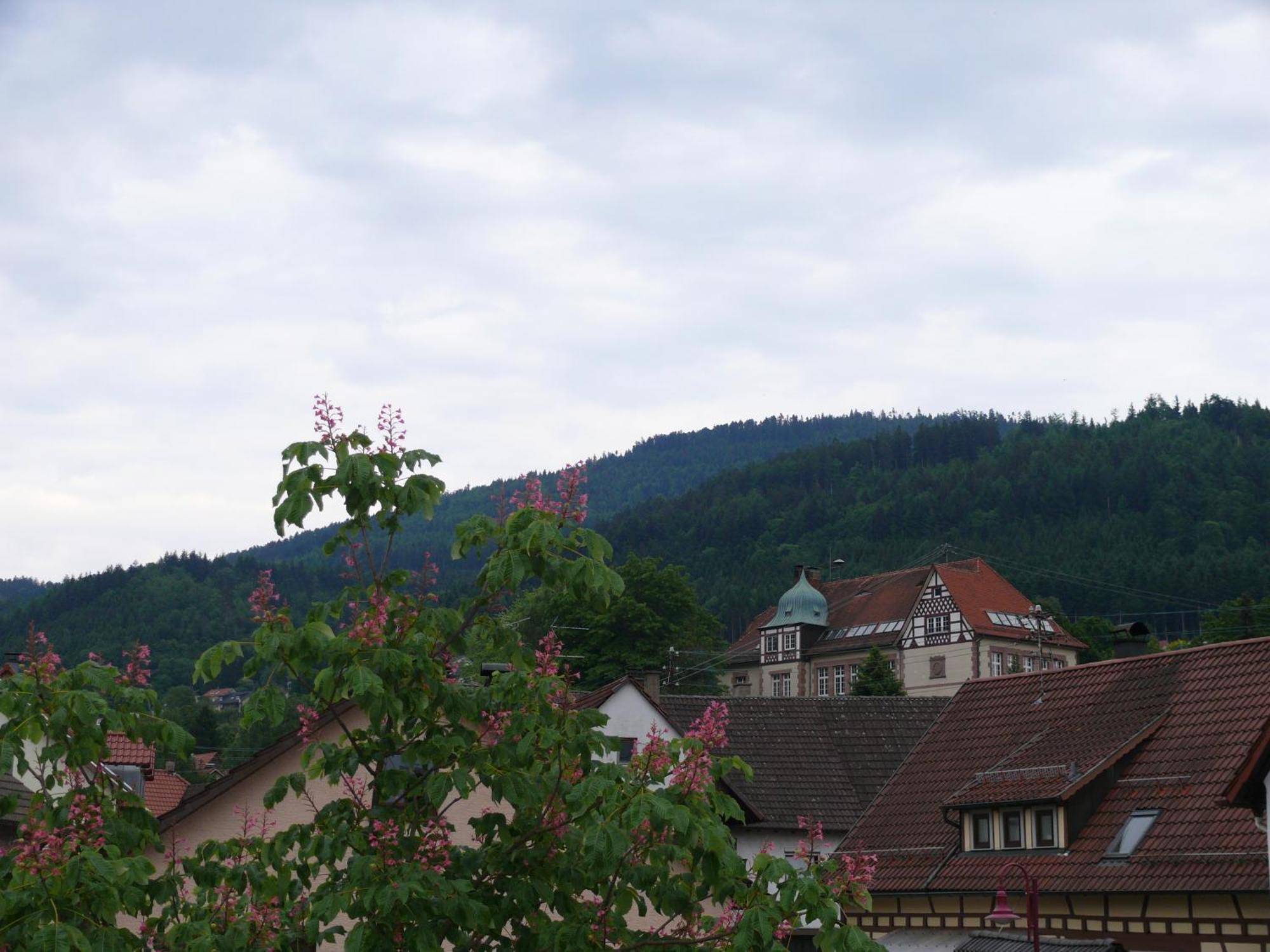 Hotel - Restaurant - Metzgerei Sonne Loffenau ห้อง รูปภาพ
